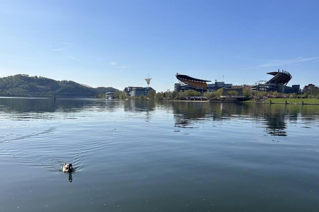 Sprawling Stadium Views Wonderful Location 24-7 Parking Gym Lounge Pittsburgh Buitenkant foto